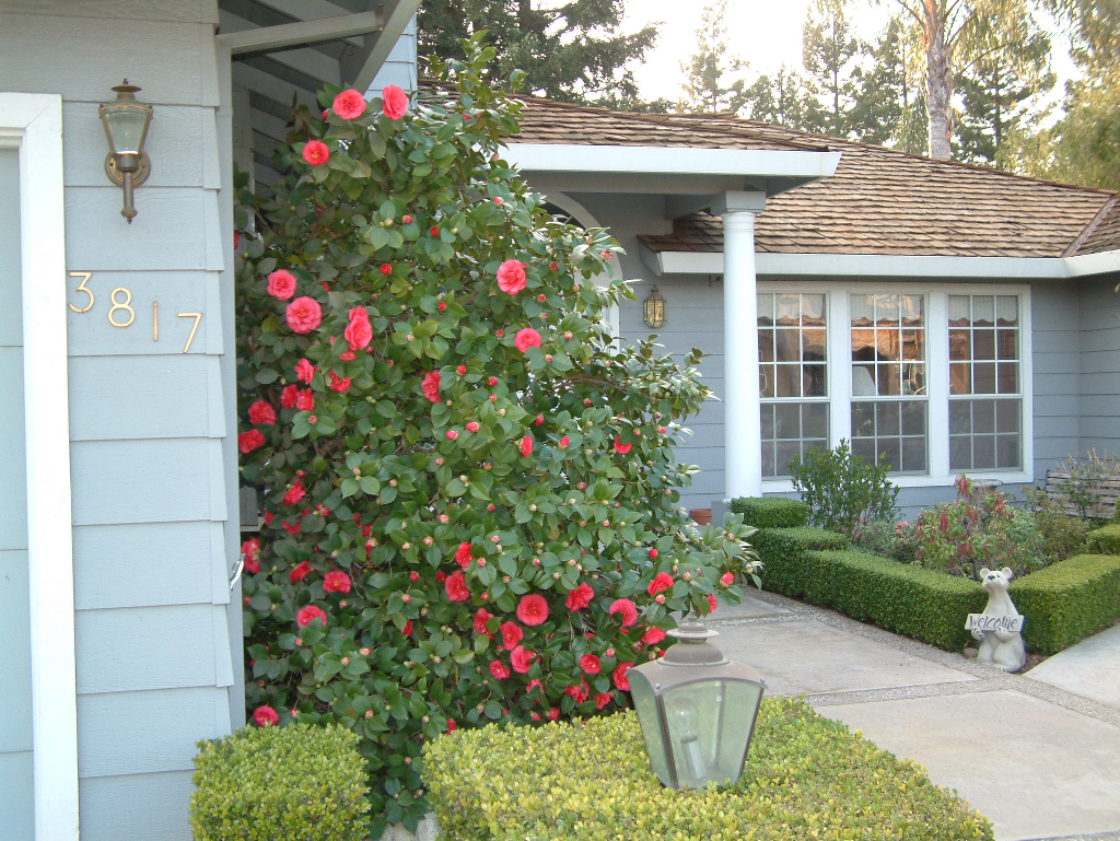 Sally and David Olsen's House