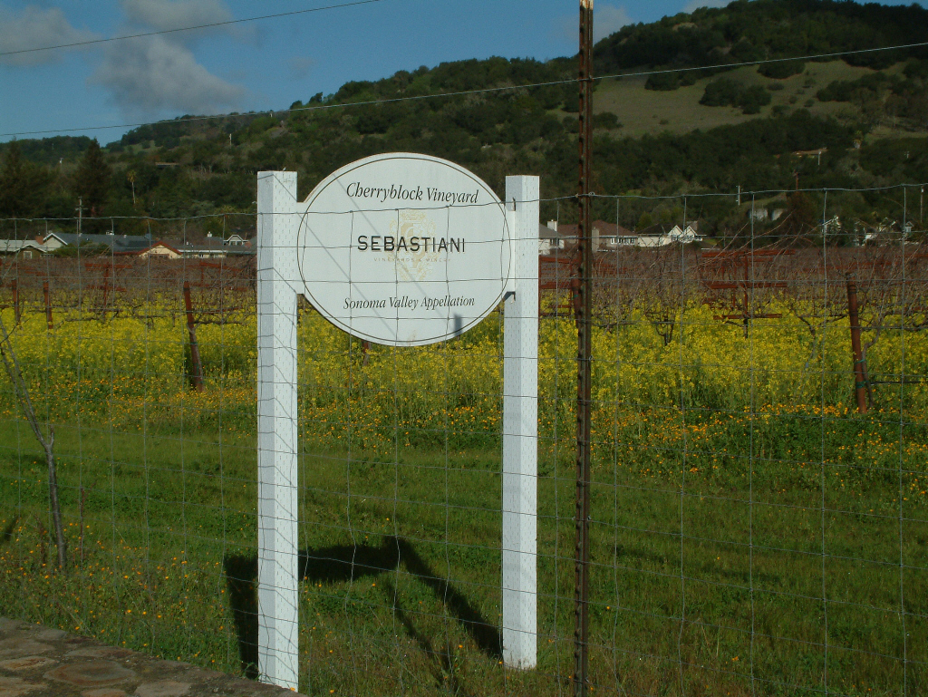 Sebastiani Vineyards