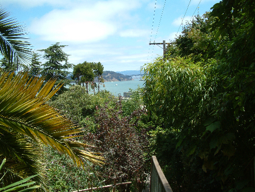 Bay side from Telegraph Hill